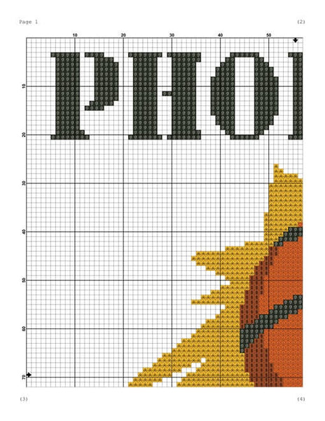 Phoenix Suns cross stitch pattern