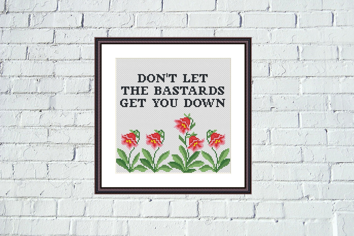 Don't let the bastards get you down funny cross stitch pattern – JPCrochet