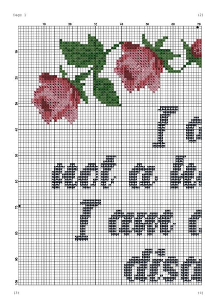 I am not a hot mess. I am a spicy disaster funny cross stitch pattern  