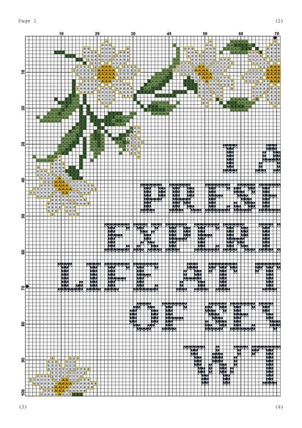 I am presently experiencing life funny sassy cross stitch pattern
