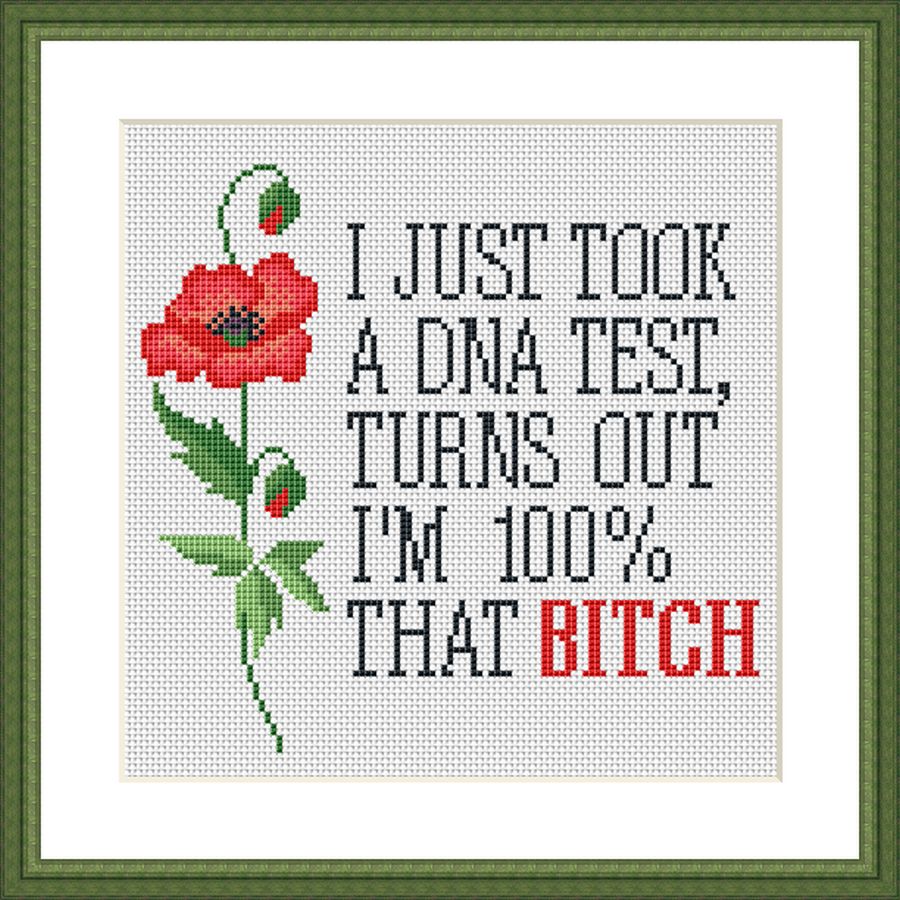 I just took a DNA test funny sassy subversive cross stitch pattern