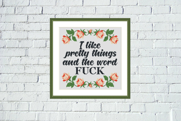 I like pretty things and the word F*CK funny sassy cross stitch pattern