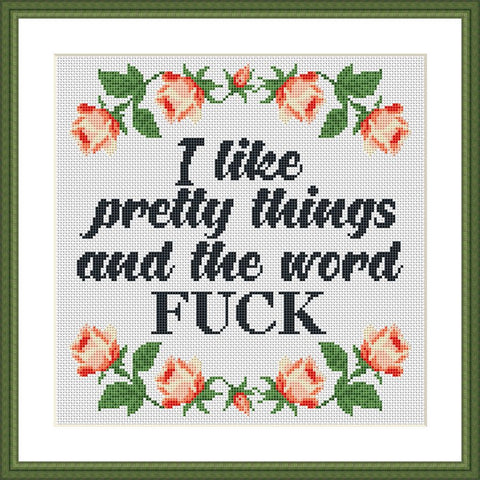 I like pretty things and the word F*CK funny sassy cross stitch pattern