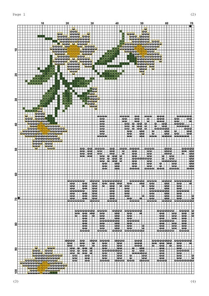I was like whatever bitches and the bitches whatevered funny cross stitch pattern 