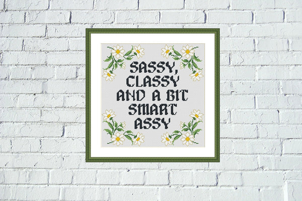 Sassy, classy and a bit smart assy funny cross stitch pattern
