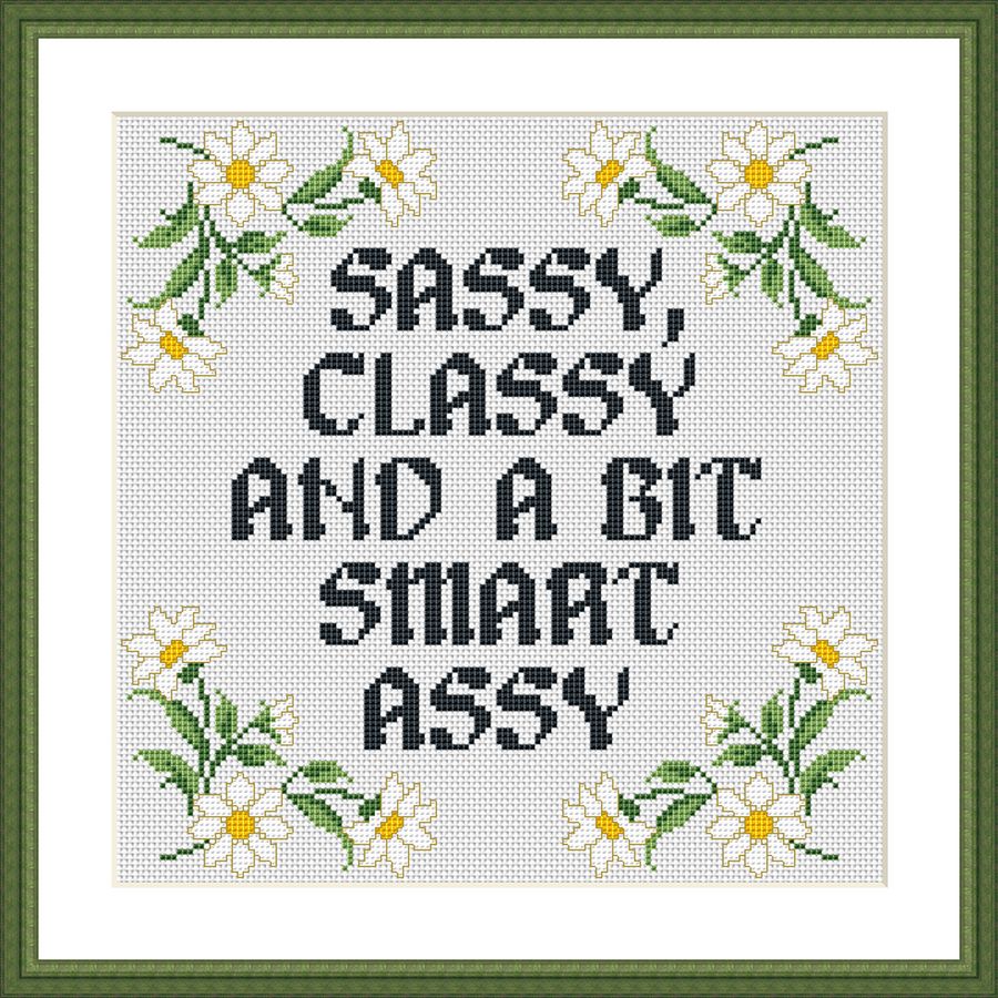 Sassy, classy and a bit smart assy funny cross stitch pattern