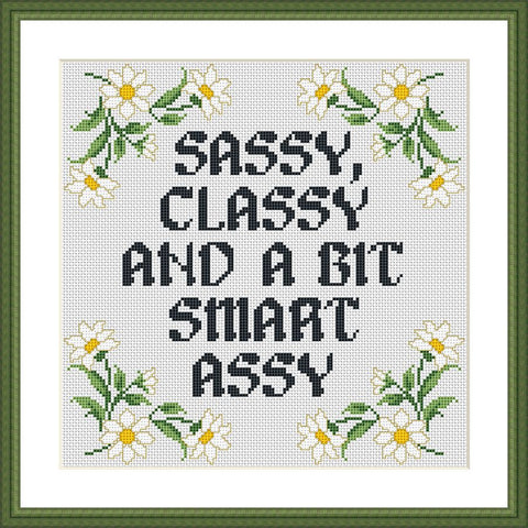 Sassy, classy and a bit smart assy funny cross stitch pattern