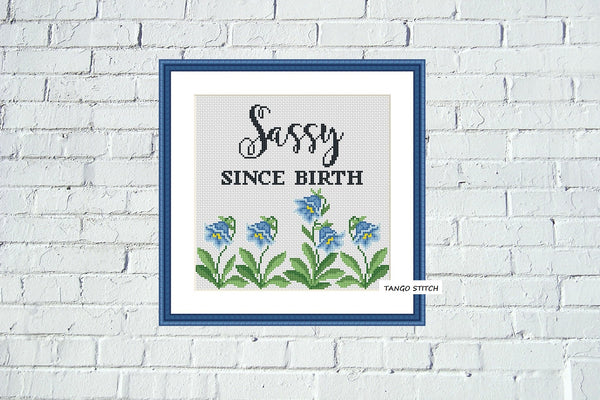 Sassy since birth funny quote cross stitch pattern  