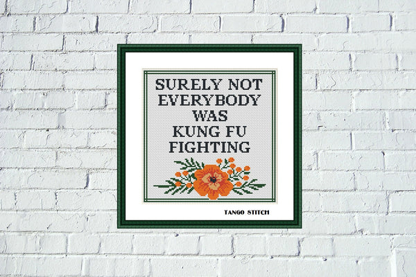 Surely not everybody was KUNG FU fighting funny cross stitch pattern